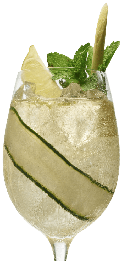White & Pepino Cup